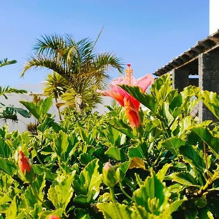 Villa Fedelian Avec Jardin Et Piscine Chauffee *